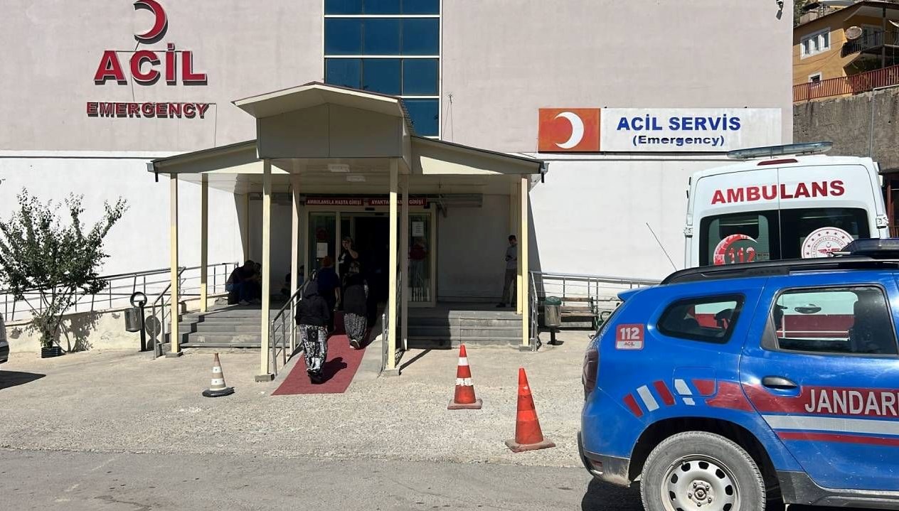 ceviz toplamak icin agaca cikti dusup hayatini kaybetti 72XZiUbl