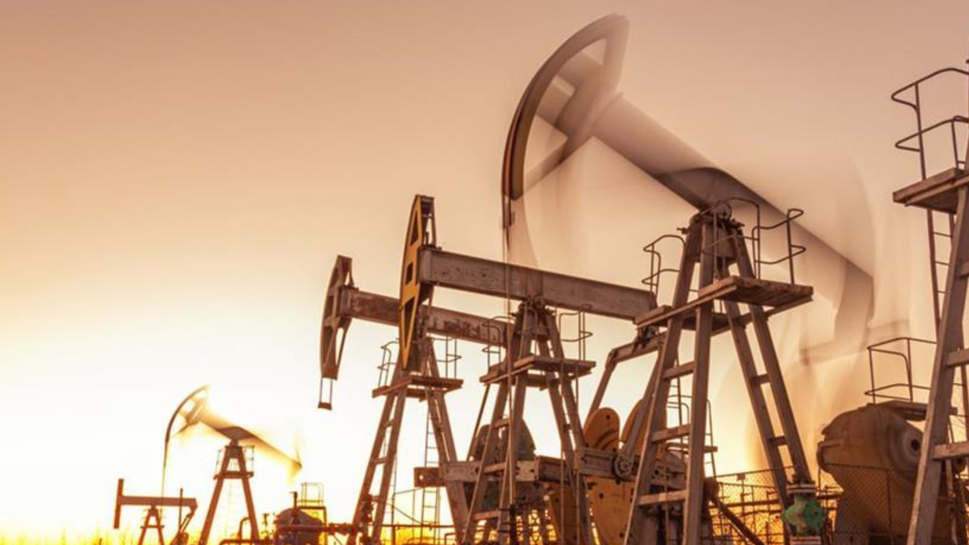 petrol hakkina muteallik karar IDedtQYV