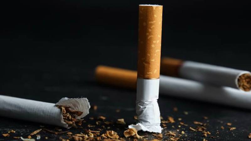 turkiyede her 2 erkekten ve her 4 kadindan biri sigara iciyor LyZcaJbg