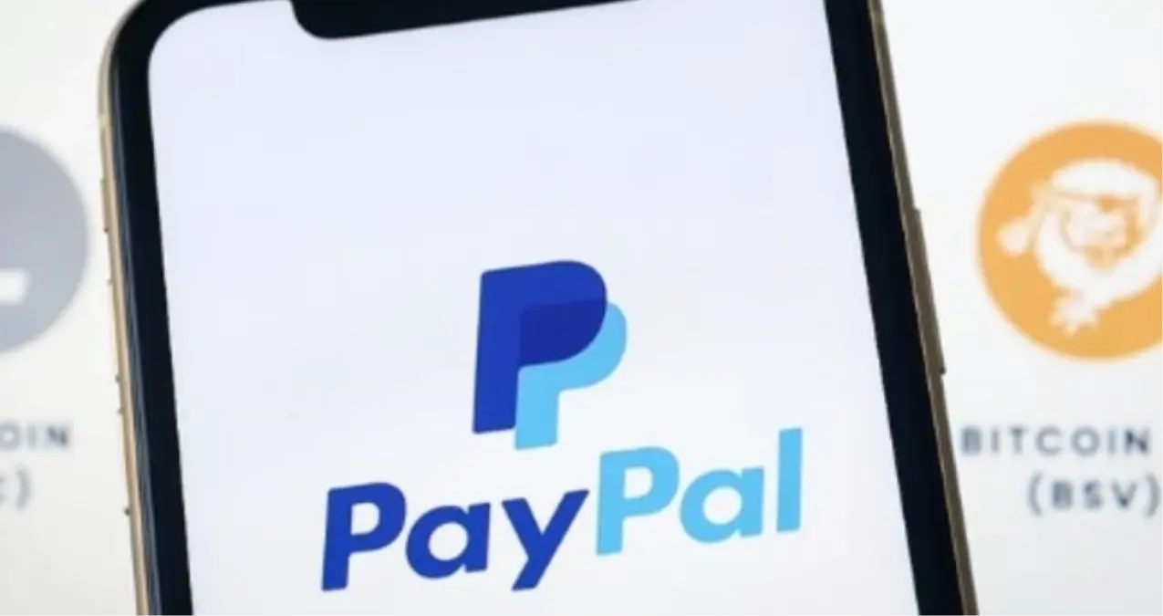 paypal turkiyede yasak mi paypal turkiyede ne zaman yasaklandi YehcbxNC.jpg