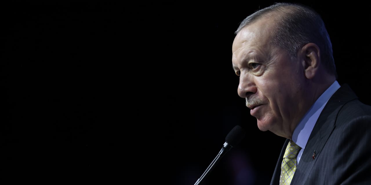 erdogan ne demek istedi ozel boyle giderse chp ya sanziman dagitacak MyMmpgUl.jpg