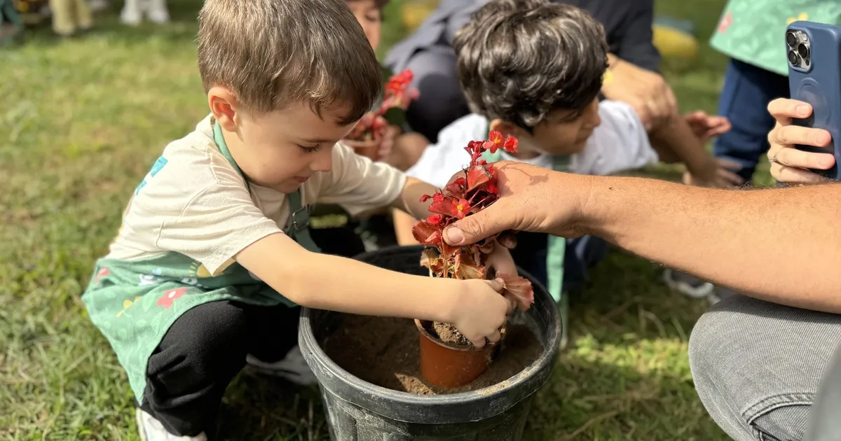 minik eller sakaryada umut ekti Cz6K1rmu.webp